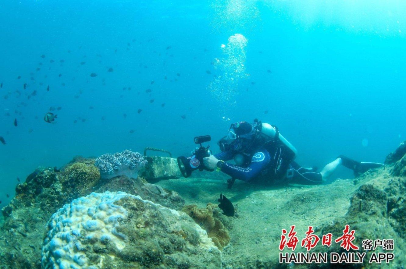 逃出美丽度假胜地